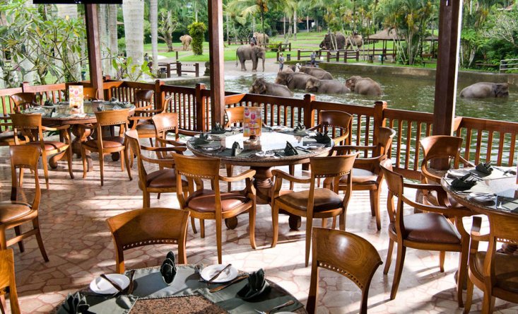 photo Jumbo wash the elephants & lunch 9