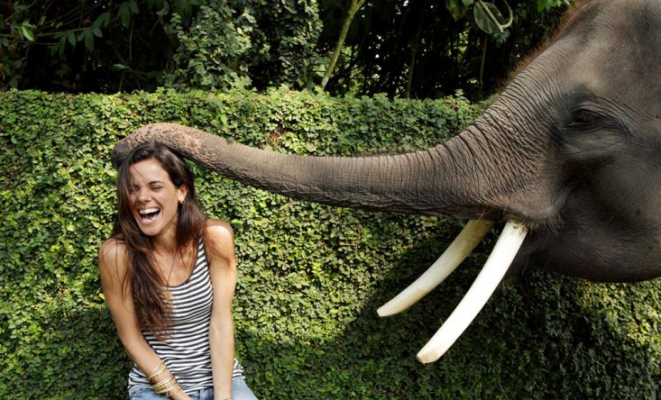 photo Jumbo wash the elephants & lunch 2