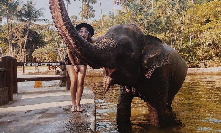 photo Jumbo wash the elephants & lunch 3