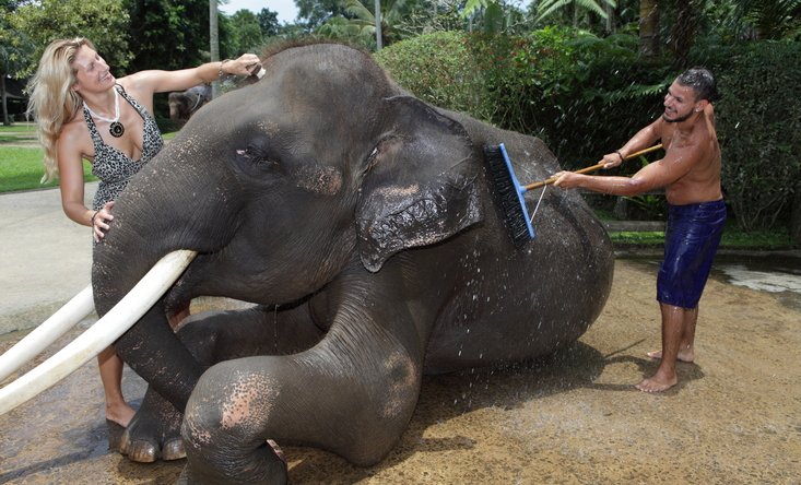photo Jumbo wash the elephants & lunch 1