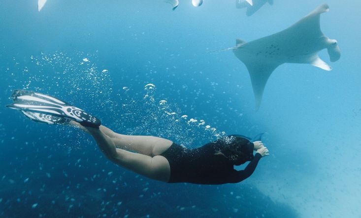 photo 3 Days tour to the west and to the east of the island + snorkeling + 2 nights in hotel Ogix Cliff Paradise 3* 15