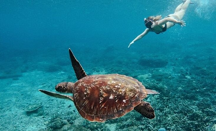 фото Morgan yacht cruise to Gili islands 10