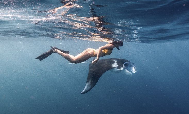 фото Freedom yacht cruise to Nusa Penida and Nusa Lembongan 8