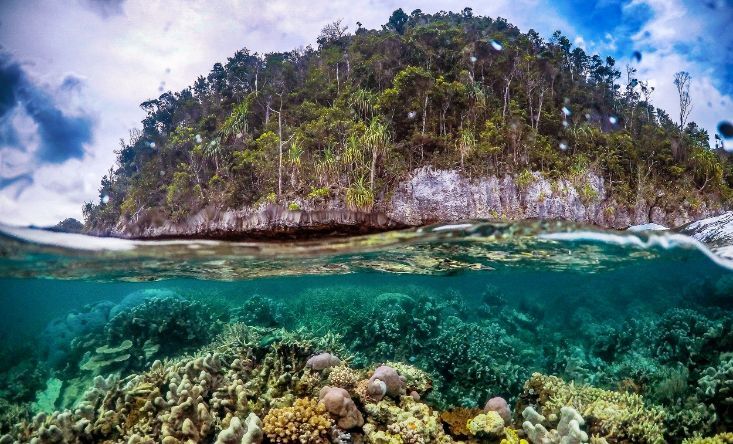 Tour to Raja Ampat Islands - A Lost Paradise