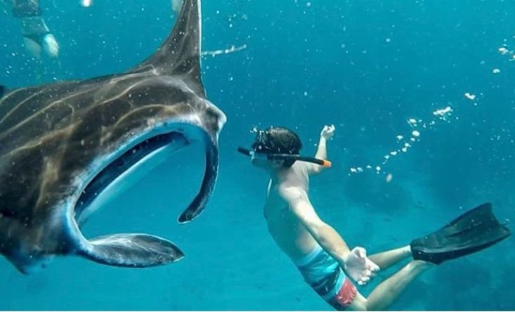 photo Seahorse Trigger yacht cruise to Nusa Penida / Nusa Lembongan Islands 5